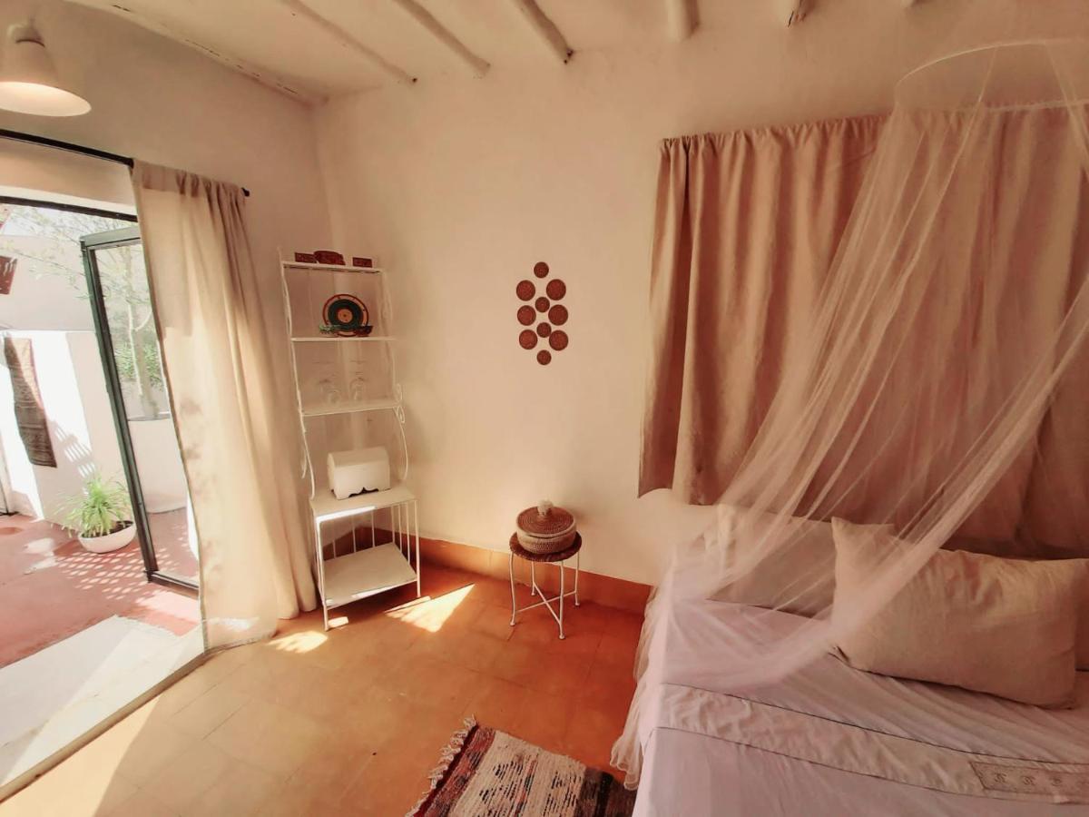 Studio Loft Medina Avec Terrasse 马拉喀什 外观 照片