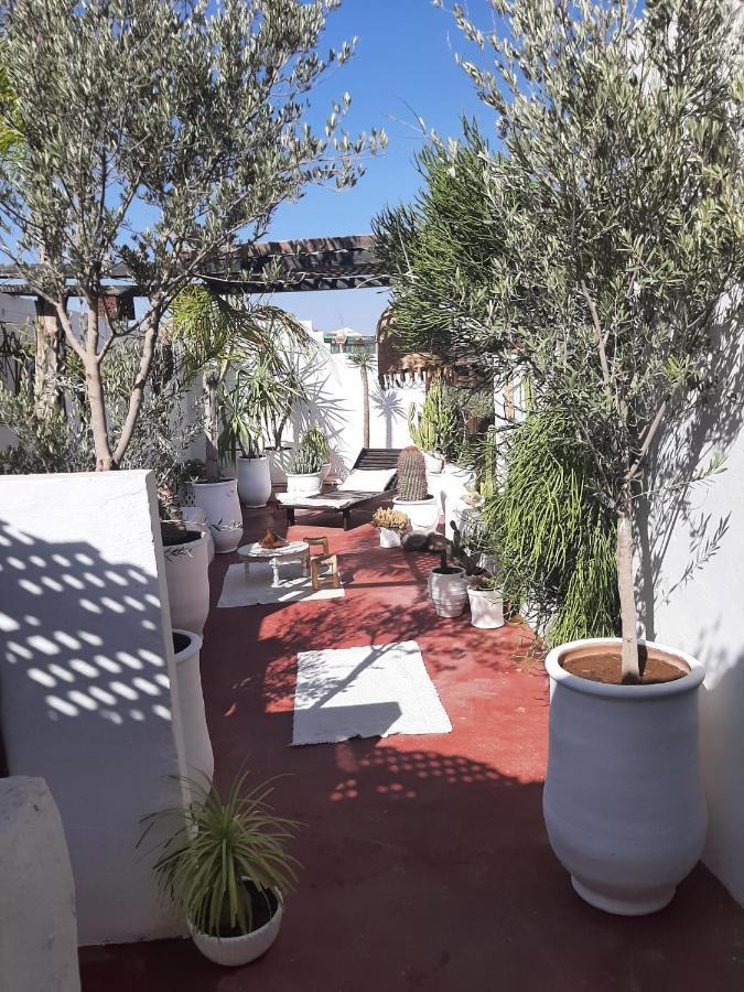 Studio Loft Medina Avec Terrasse 马拉喀什 外观 照片