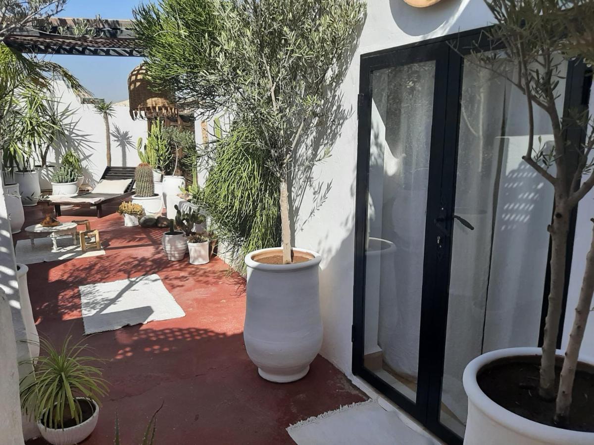 Studio Loft Medina Avec Terrasse 马拉喀什 外观 照片