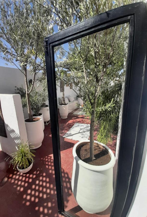Studio Loft Medina Avec Terrasse 马拉喀什 外观 照片